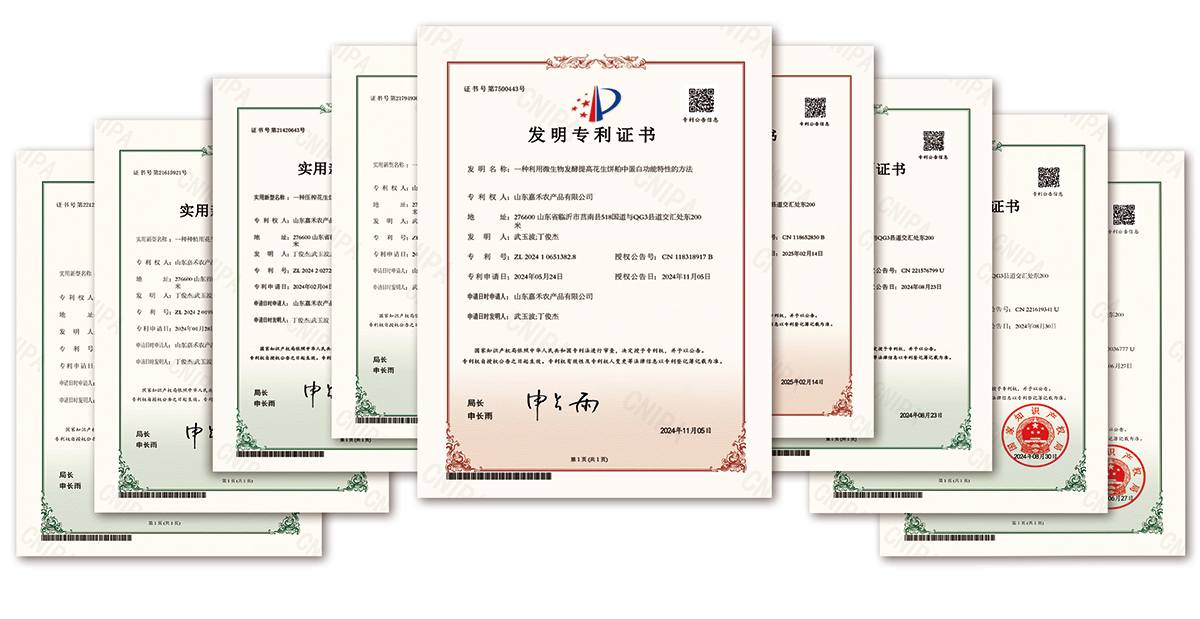 公司拥有完善的质量保证体系，严格按照ISO质量体系和GMP的要求进行标准操作