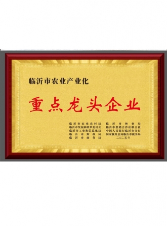 重点龙头企业