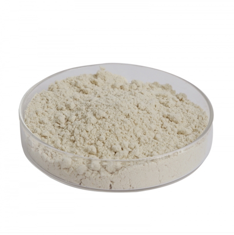 饲料级大豆蛋白粉